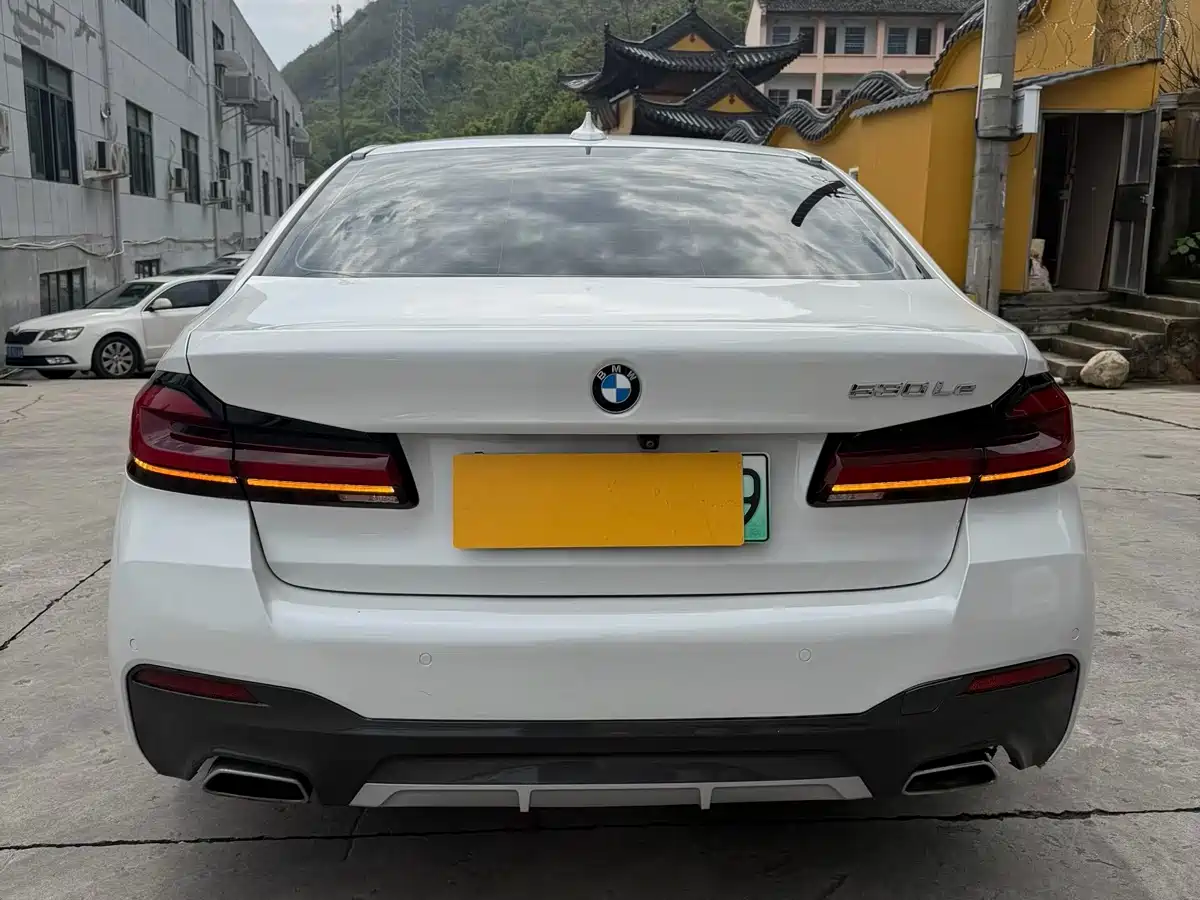 BMW 5 SERIES NEW ENERGY