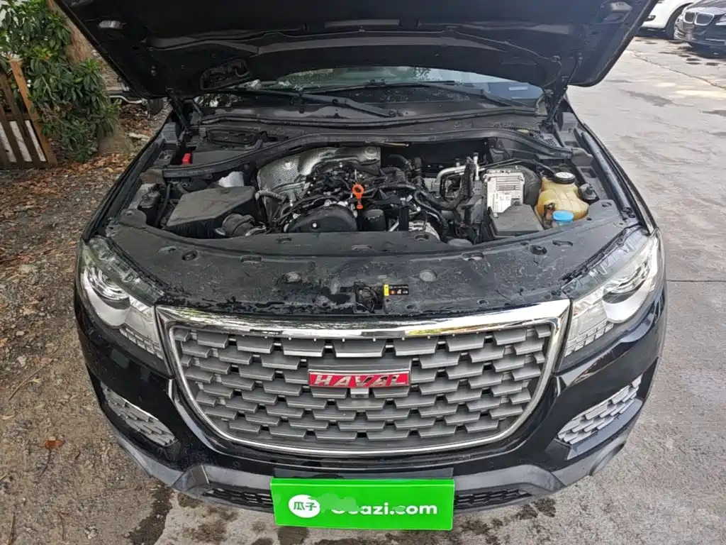 Haval H8 2019 2017 2.0T Gasoline 2WD Smart Enjoyment