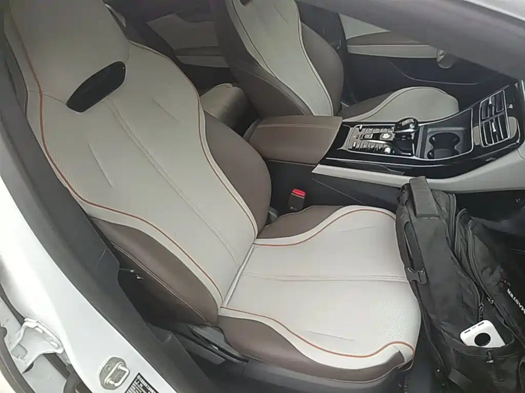 BYD Qin PLUS 2023 Champion Edition DM-i 55KM Surpassing фото 25
