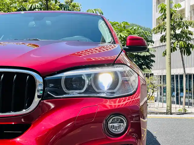 BMW X6 2015 xDrive35i Leading Type — фото 4