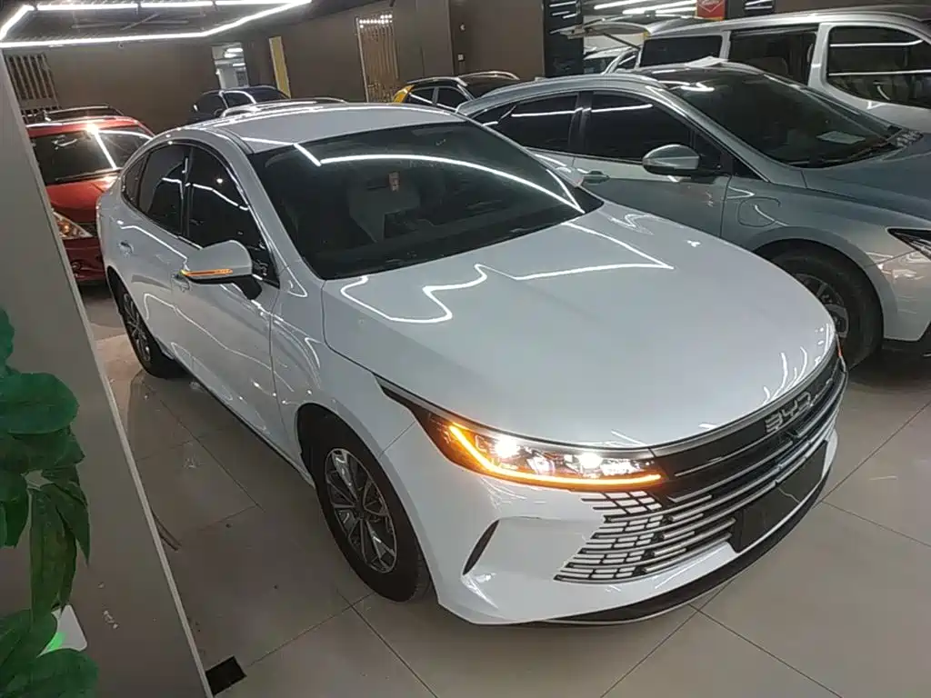 BYD Destroyer 05 2024 Glory Edition DM-i 55KM Luxury фото 4