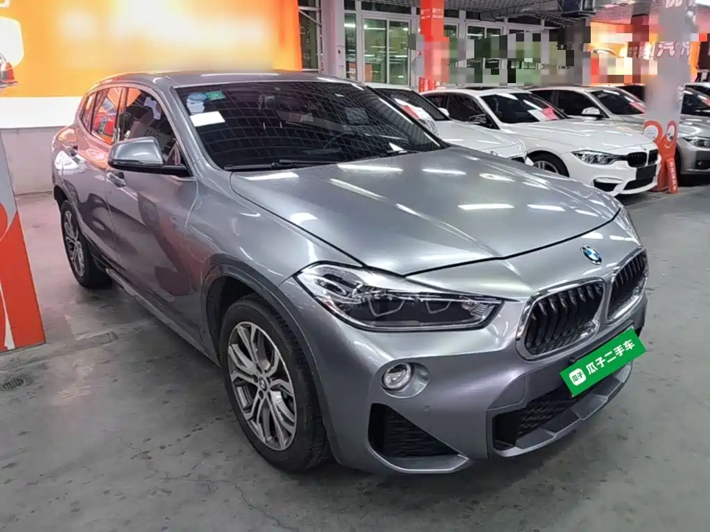 BMW X2 (Import) 2019 2018 sDrive25i Leading M Off-road Package China V