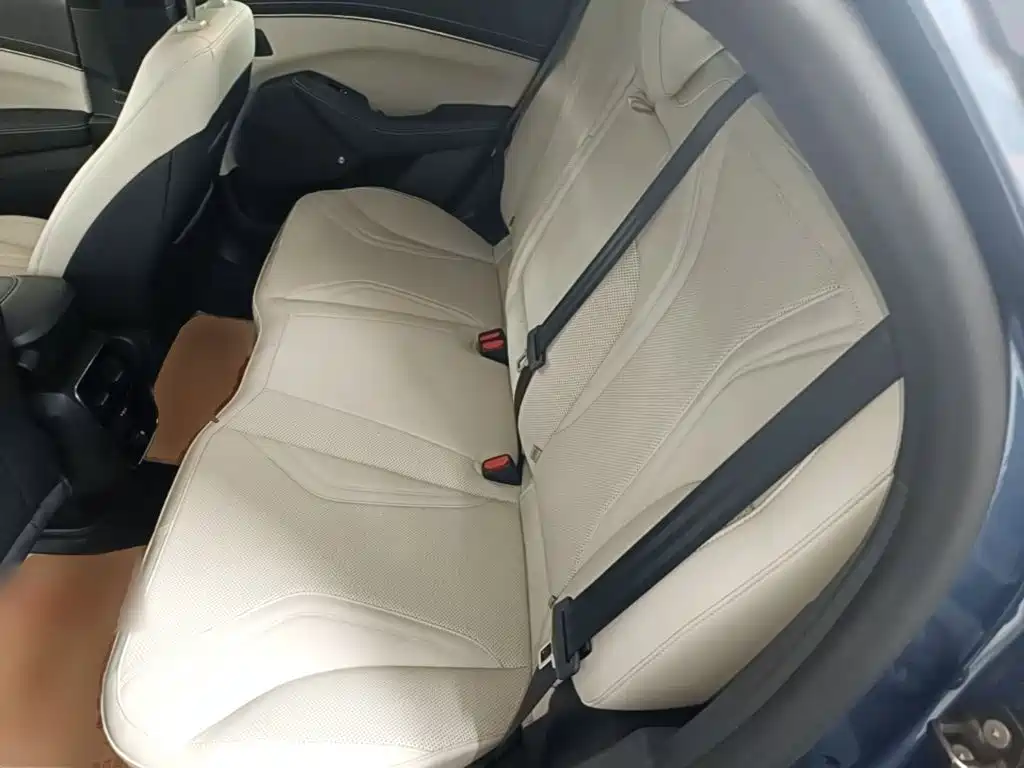 Ford Mustang Mach-E 2022 2021 Boundless RWD Luxury (Long Range)
