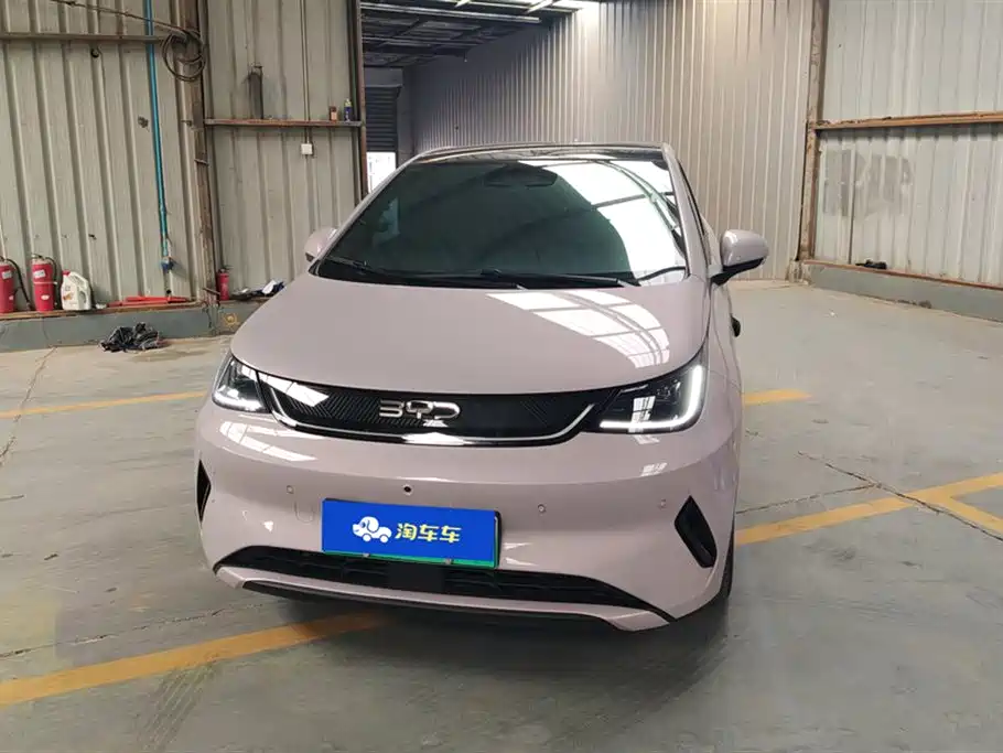 BYD DOLPHIN