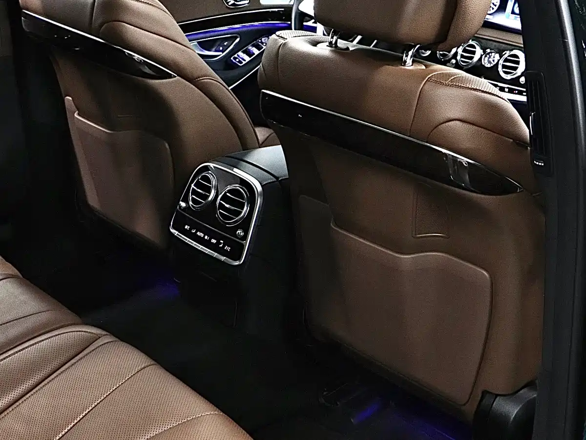 Mercedes-Benz S-Class 2020 S 350 L Premium Edition Collector's Version фото 17