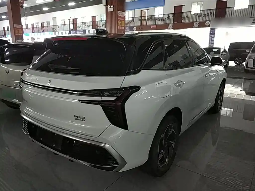 Hongqi HS3 2023 1.5T 2WD Virtue Edition фото 7