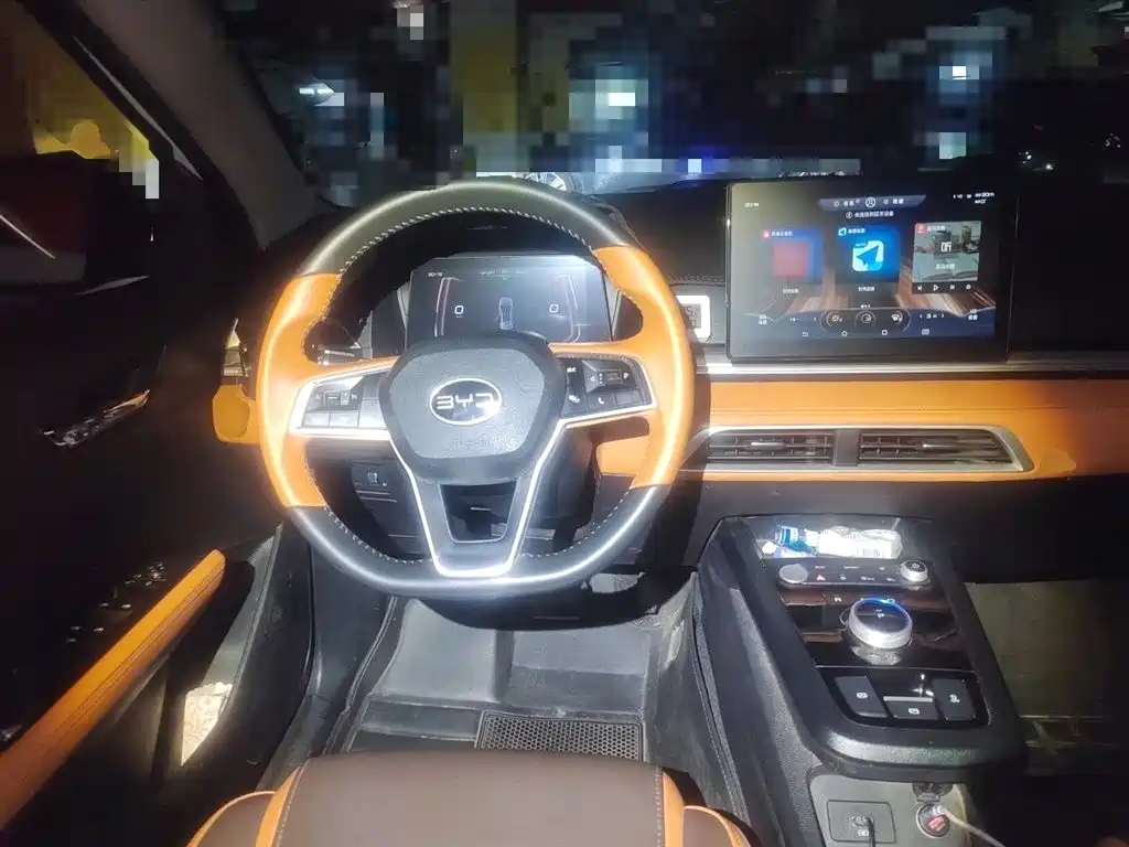 BYD e2 2021 Luxury Edition фото 6