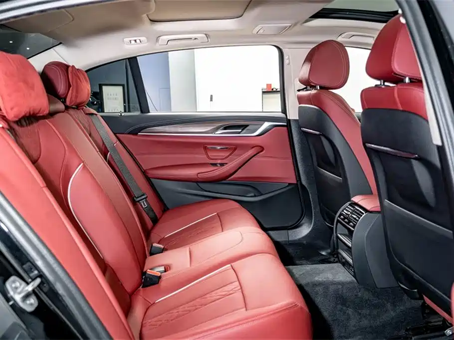 BMW 5 Series 2021 Facelift 530Li Leading Luxury Package фото 21