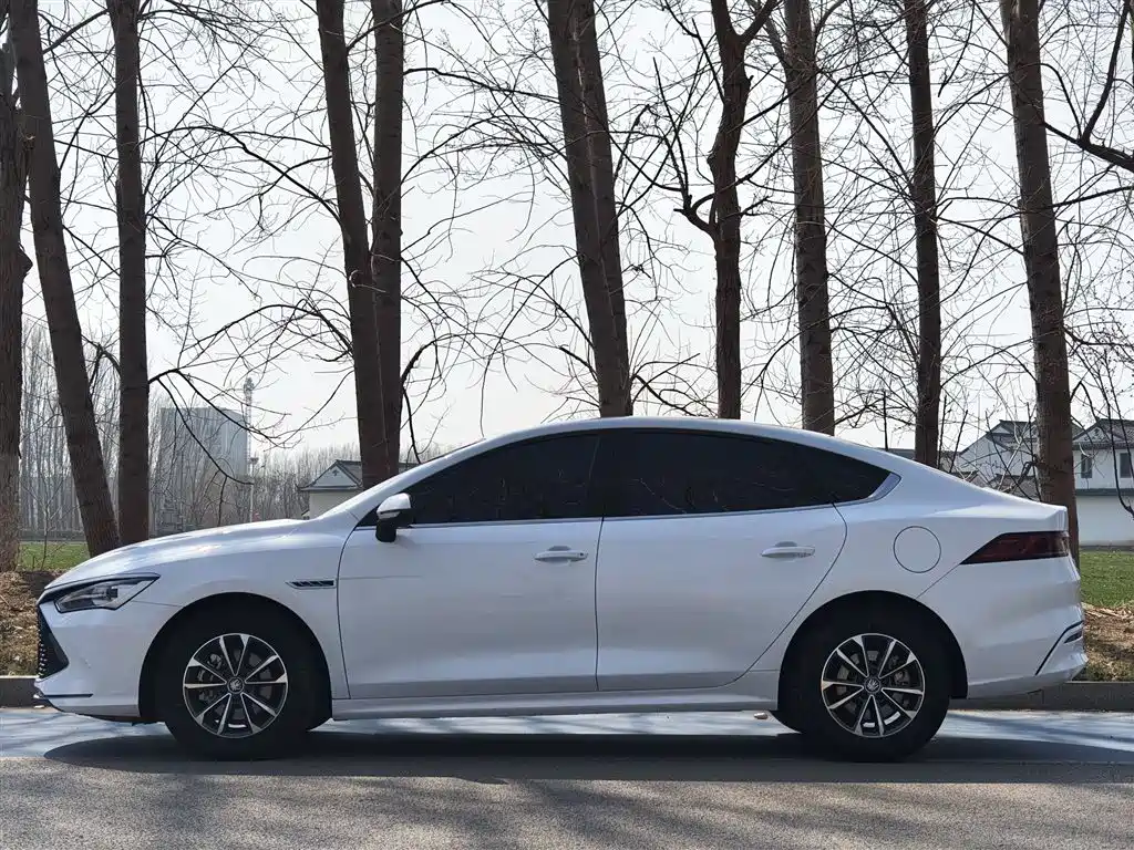 BYD Qin PLUS 2024 Glory Edition DM-i 55KM Leading фото 20