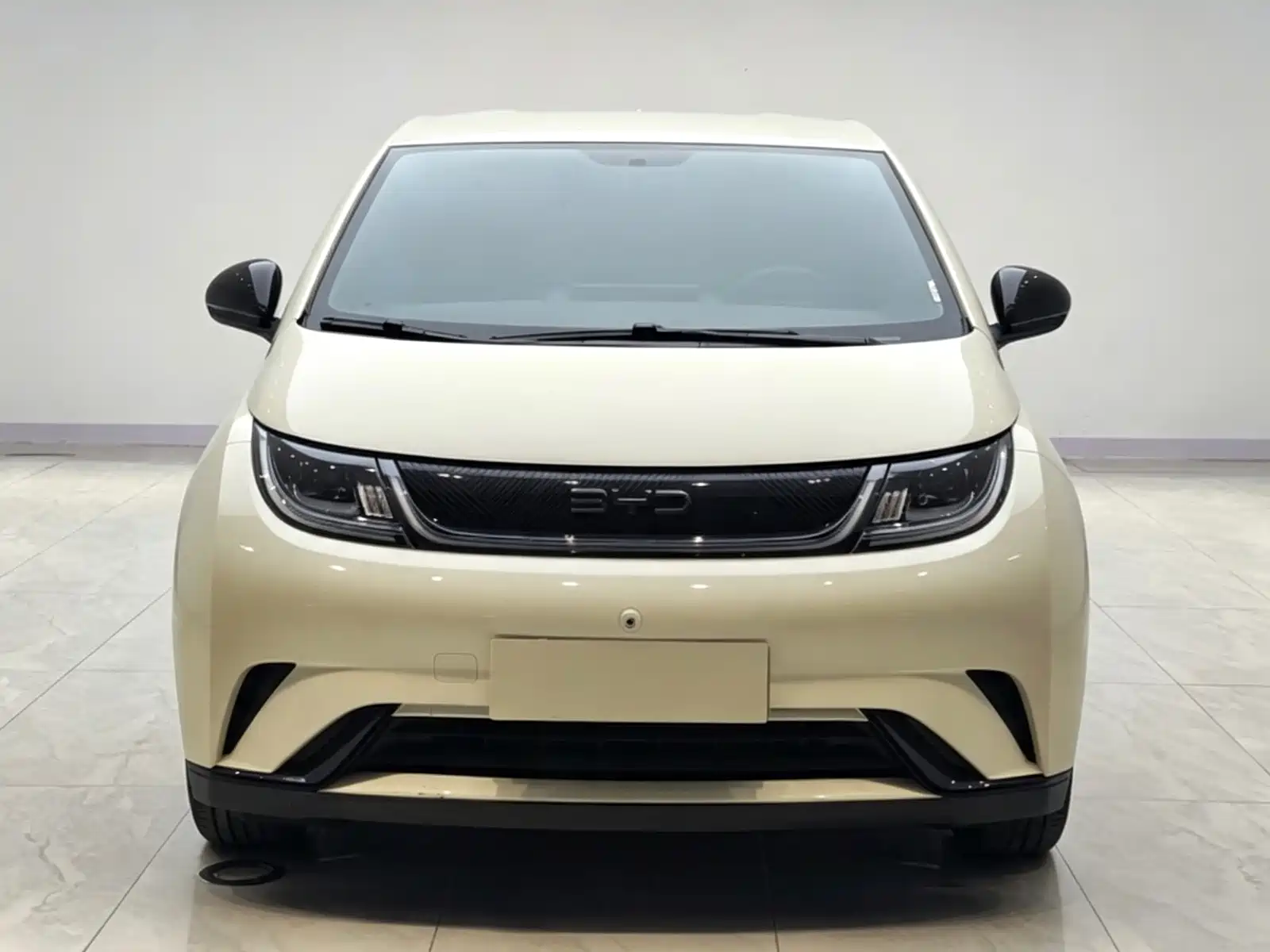Фото 2 - BYD Dolphin