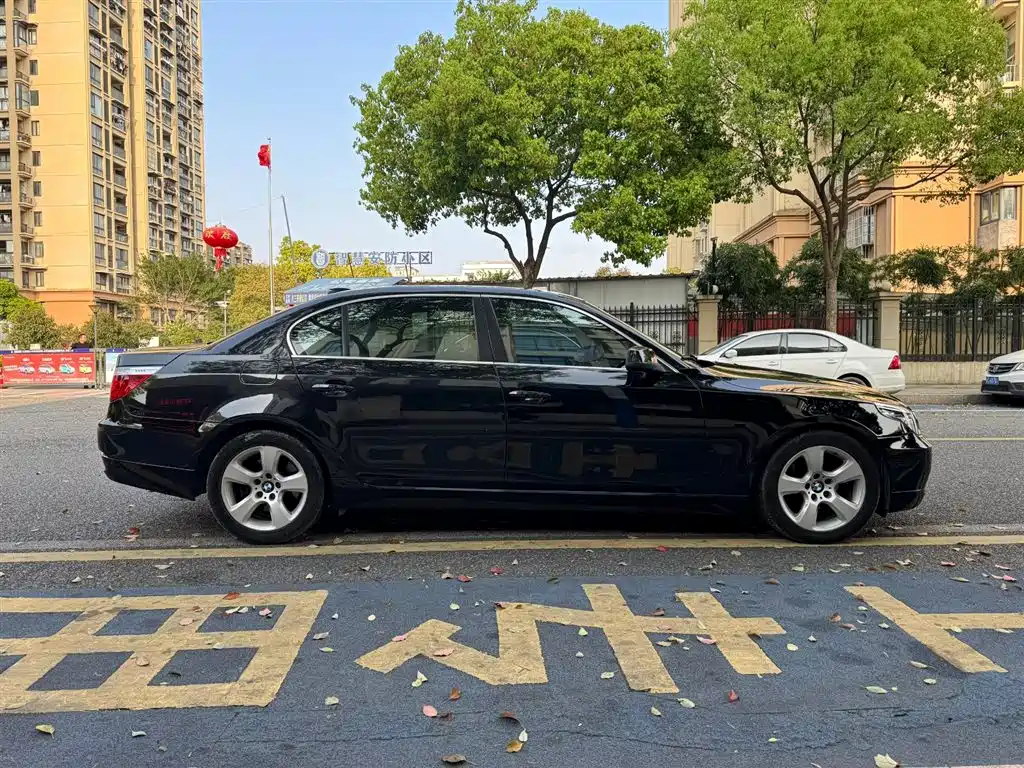 BMW 5 Series 2010 520Li Luxury фото 7