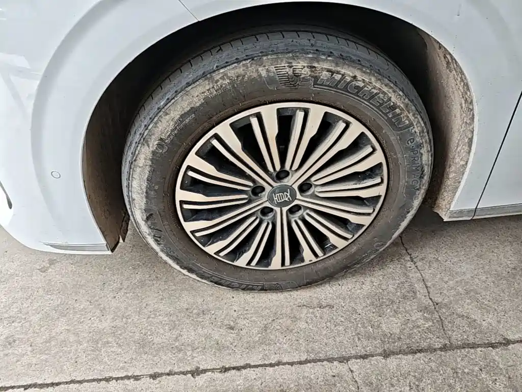 BYD Xia 2025 2025 DM-i 1.5T 180km Surpass Edition