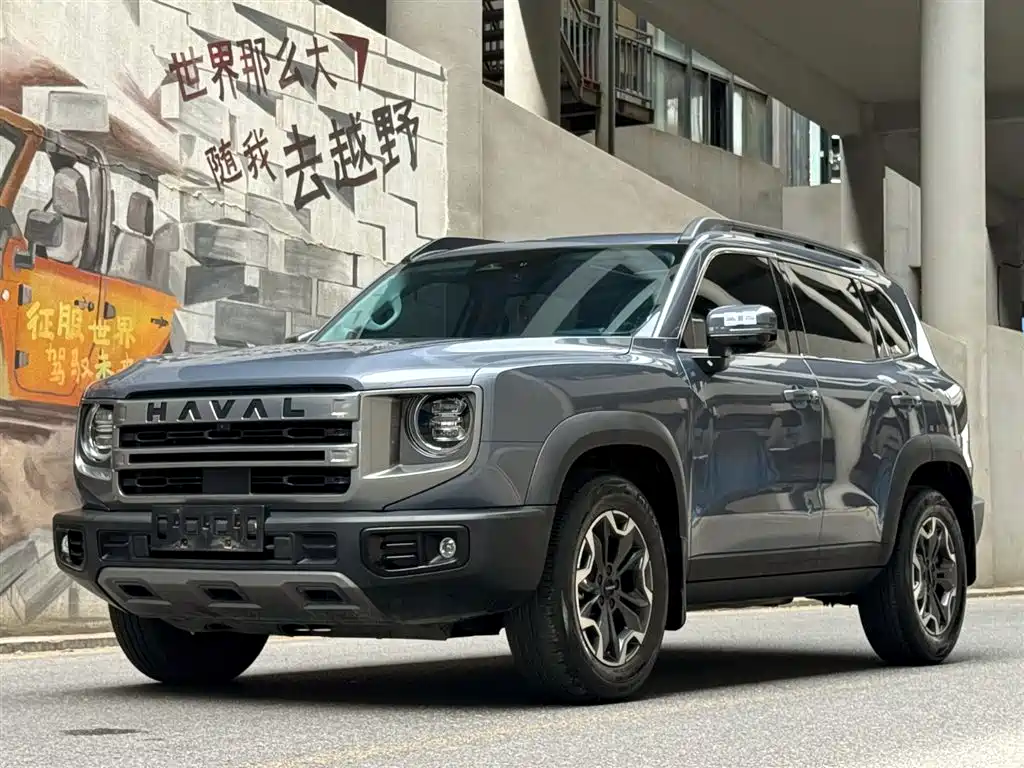 Haval Big Dog 2024 2.0T DCT Chinese Rural Dog Edition