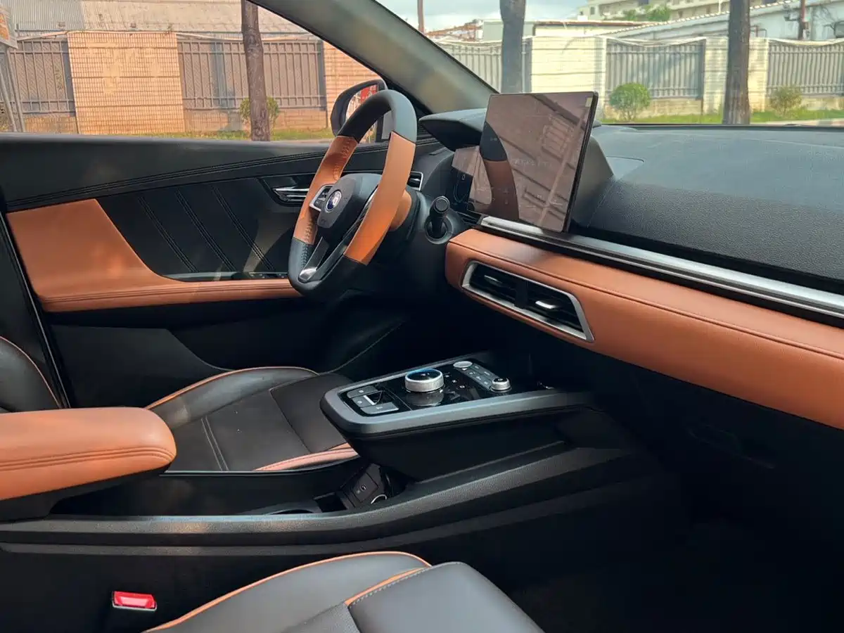 BYD e2 2020 2020 Upgraded Long Range Luxury
