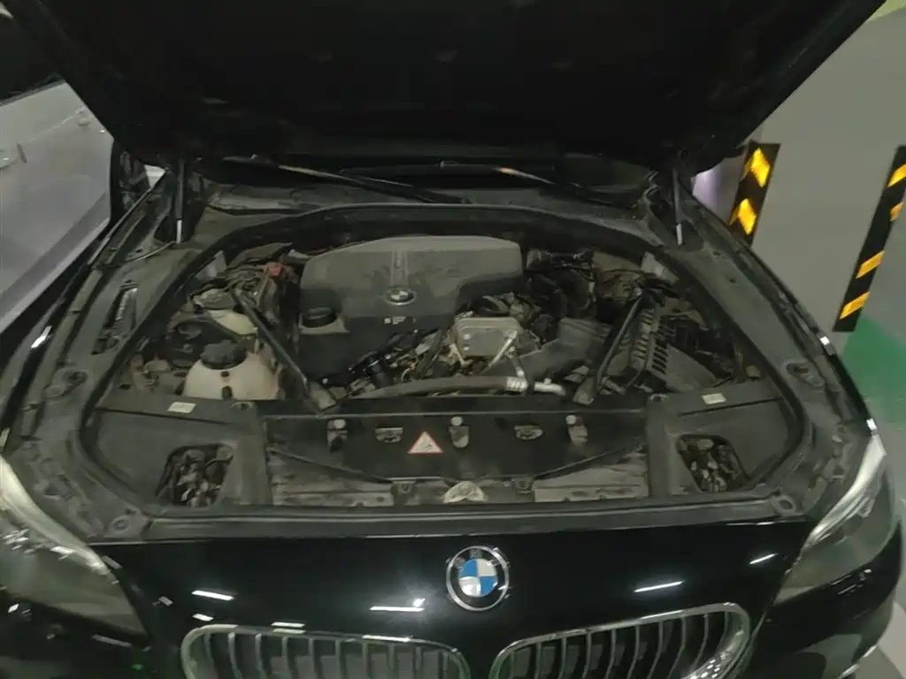 BMW 5 Series 2017 525Li Luxury Design Package фото 20