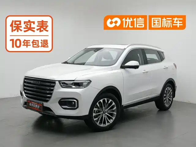 Haval H6 2020 1.5GDIT Automatic Platinum Luxury Edition — фото 1