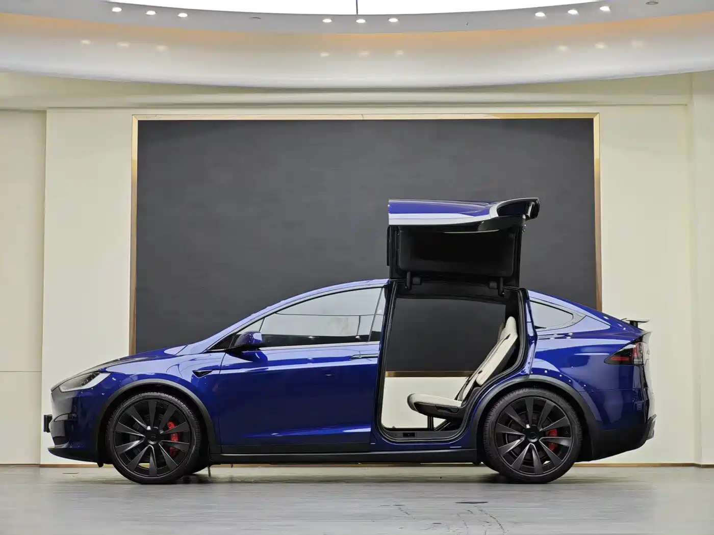Tesla Model X 2023 Dual Motor All-Wheel Drive Edition фото 19