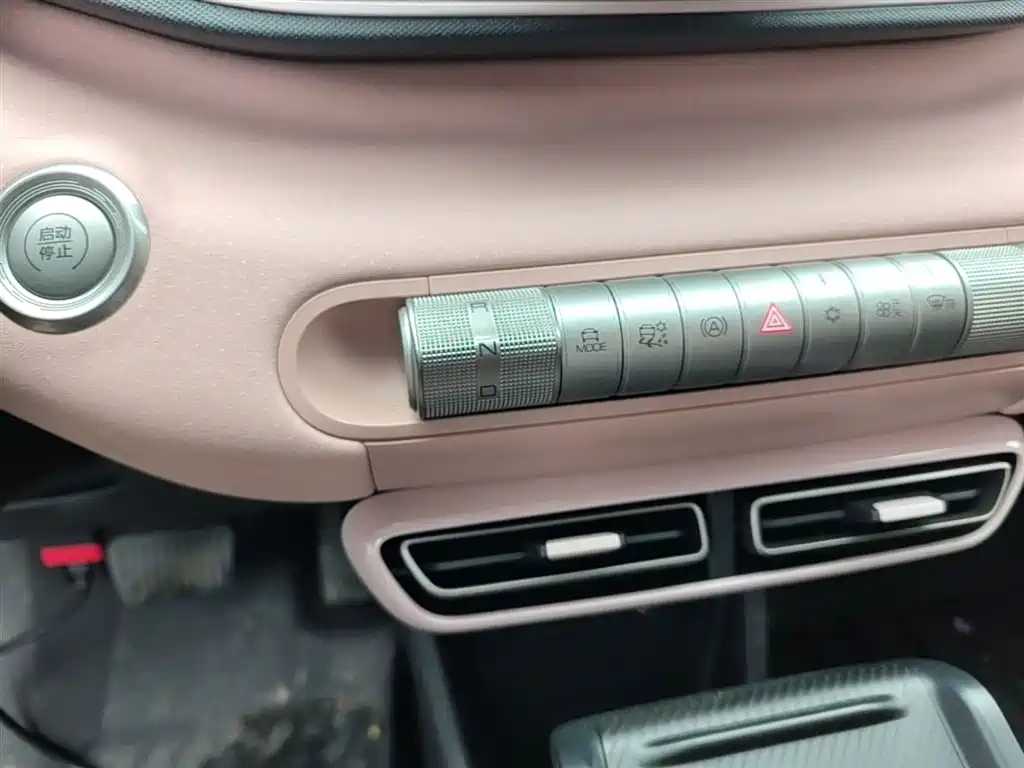 BYD Seagull 2023 Freedom Edition фото 14