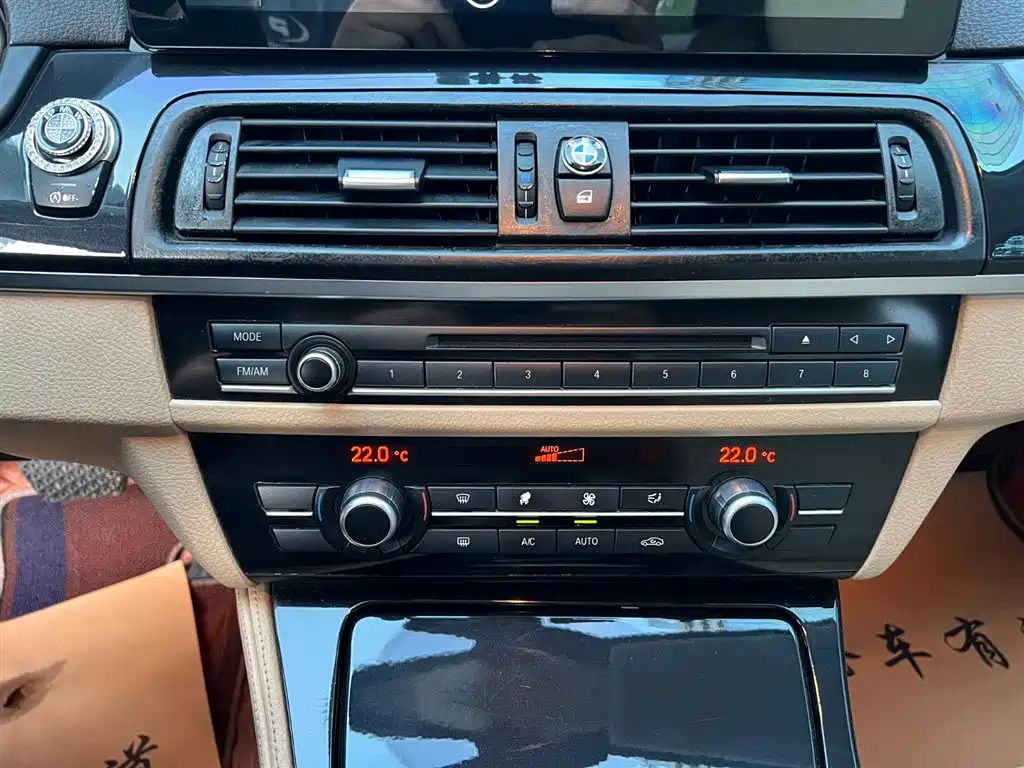 BMW 5 Series (Import) 2013 520i Elegance фото 11