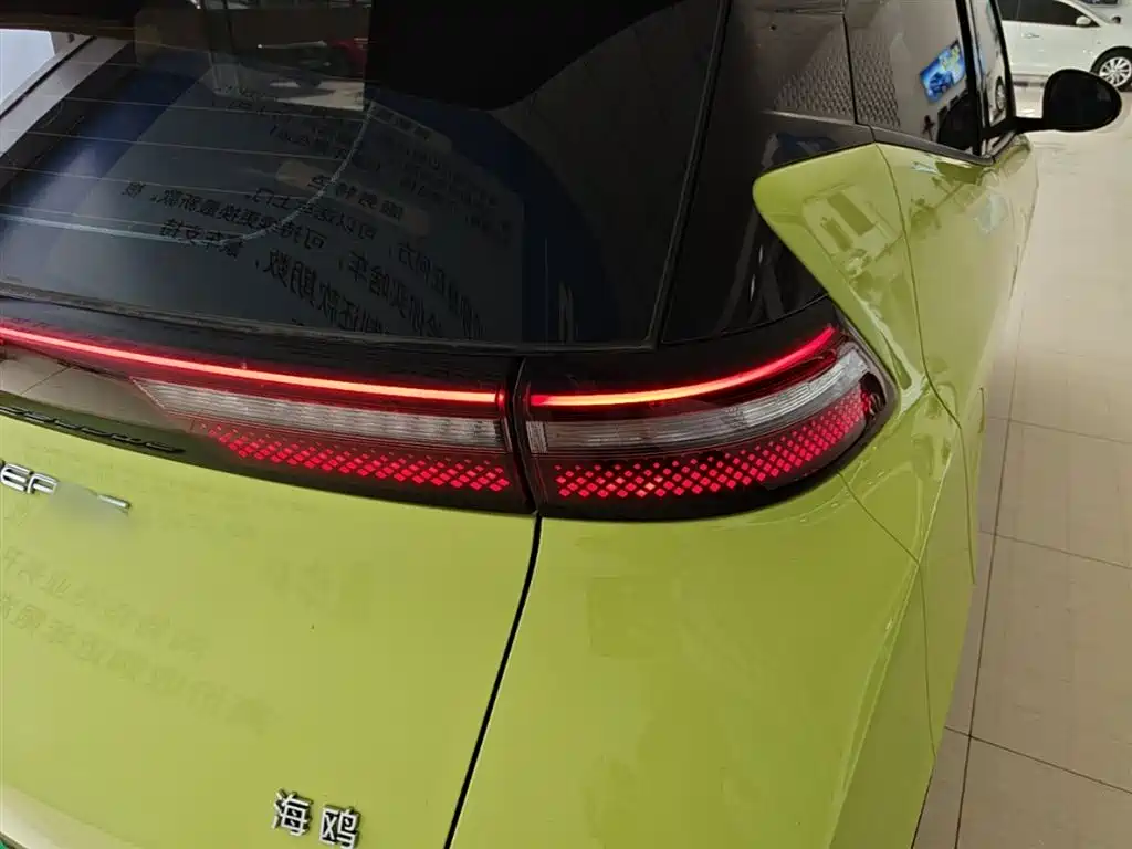 BYD Seagull 2024 Glory Edition 305km Vitality Edition фото 8