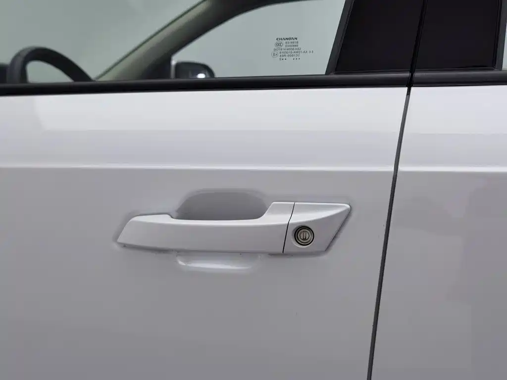 Changan CS55 PLUS 2020 2020 1.5T Manual Color Edition
