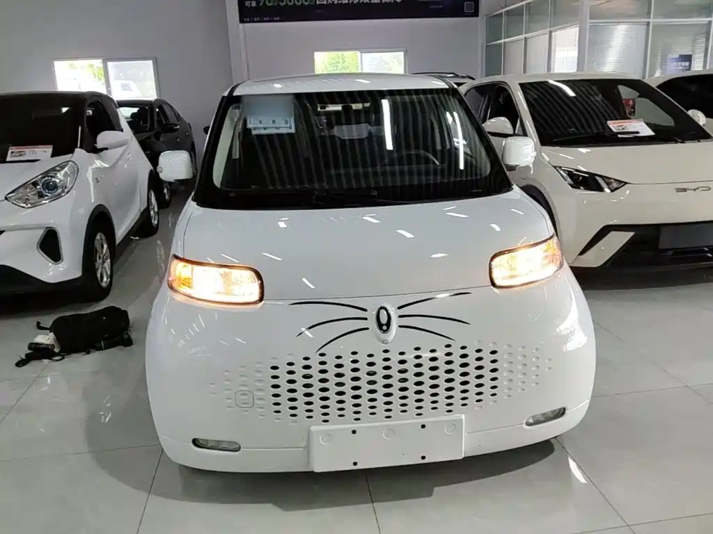 Ora White Cat 2022 2022 Upgraded 305km Luxury (NMC)