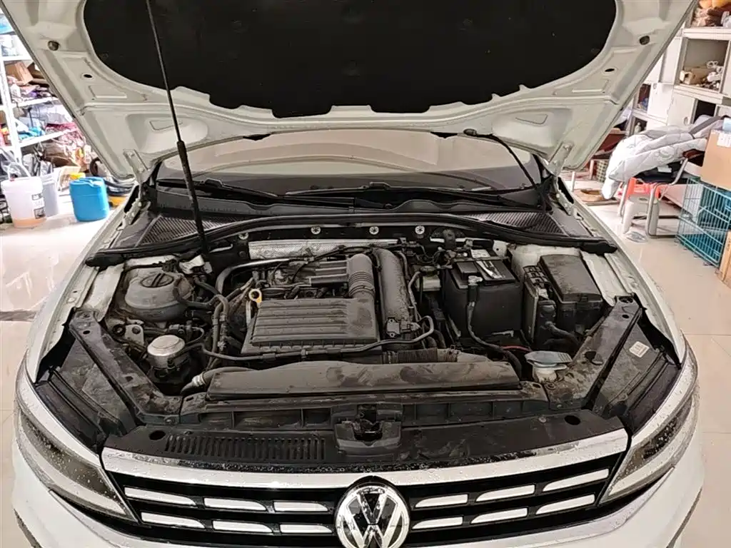 Volkswagen Lamando 2019 280TSI DSG Luxury Edition China VI фото 19