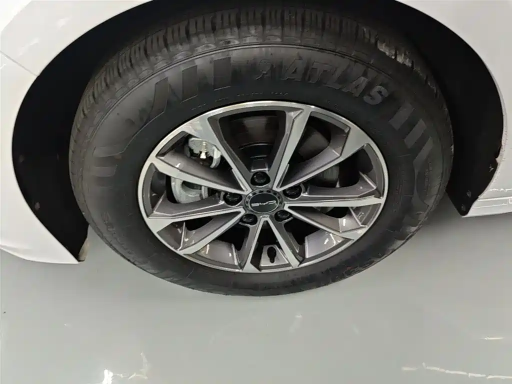 BYD Destroyer 05 2024 Glory Edition DM-i 55KM Luxury фото 23