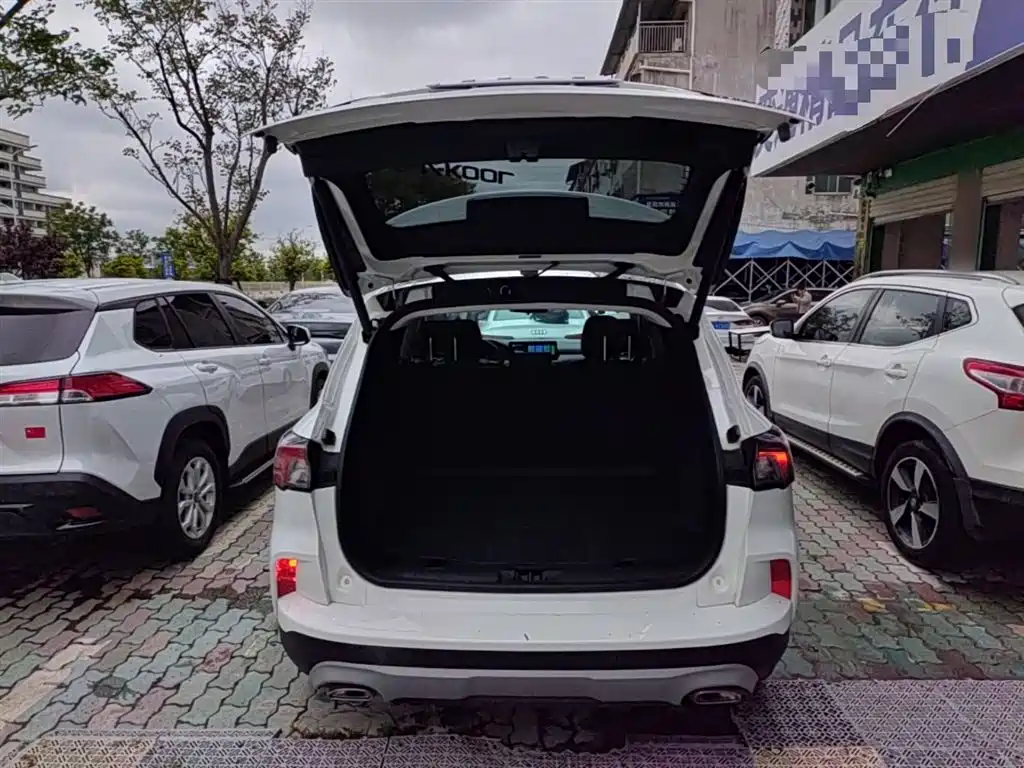 FORD RUIJI