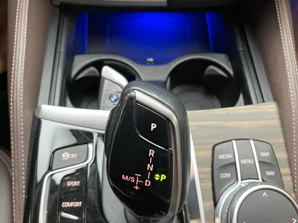 BMW 5 Series 2020 530Li xDrive Luxury Package фото 12
