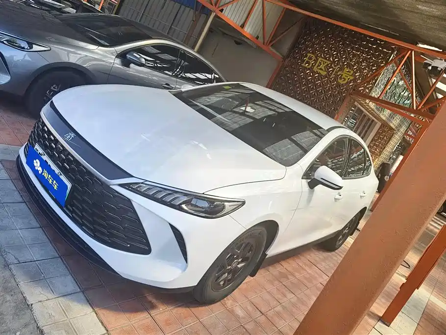 BYD Qin PLUS 2025 DM-i Smart Drive 55KM Leader