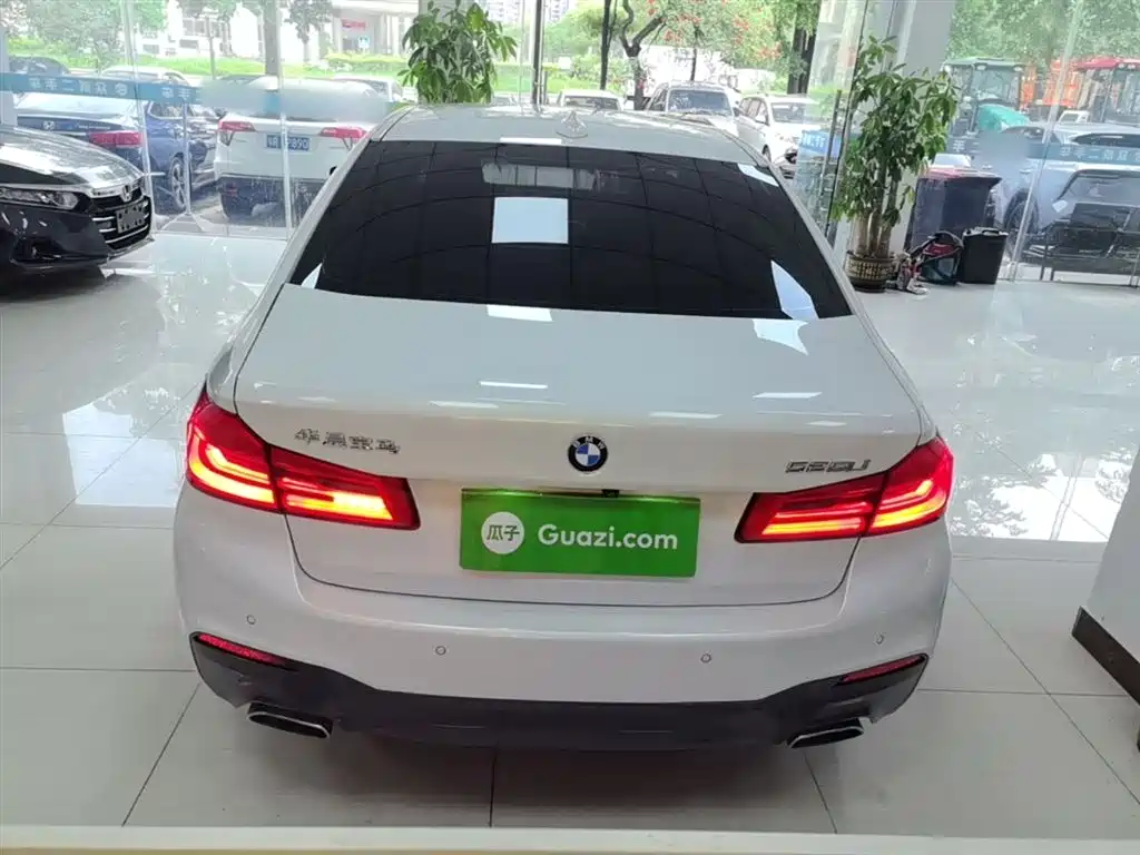 BMW 5 Series 2019 525Li M Sport Package фото 6