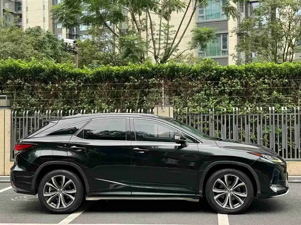 Lexus RX 2020 300 AWD F SPORT (China VI) фото 3