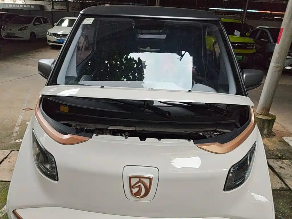 Baojun E200 2021 2020 305KM Smart Edition