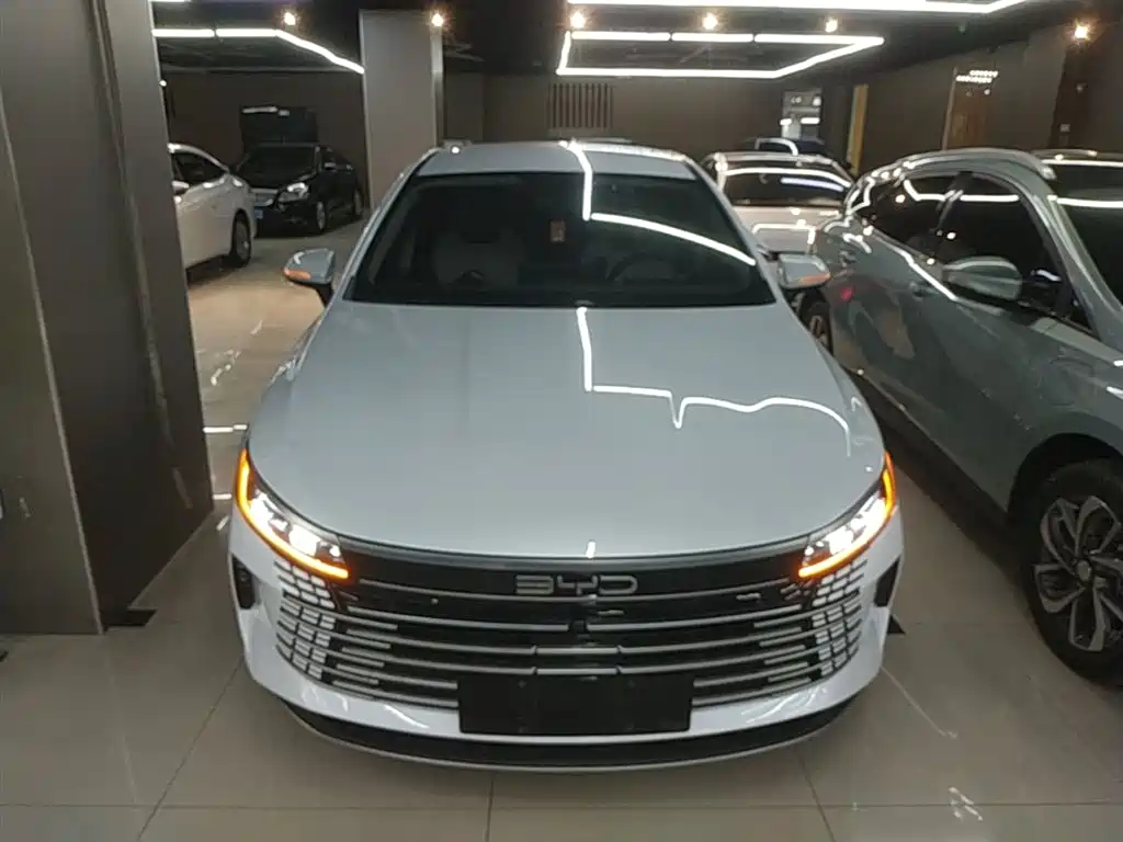 BYD Destroyer 05 2024 Glory Edition DM-i 55KM Luxury фото 3