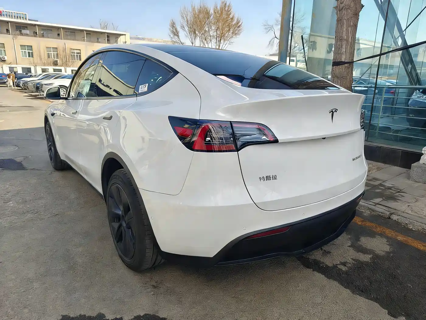 TESLA MODEL Y