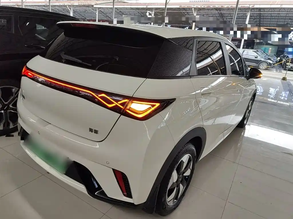 BYD Dolphin 2024 Glory Edition 420km Fashion Edition фото 7
