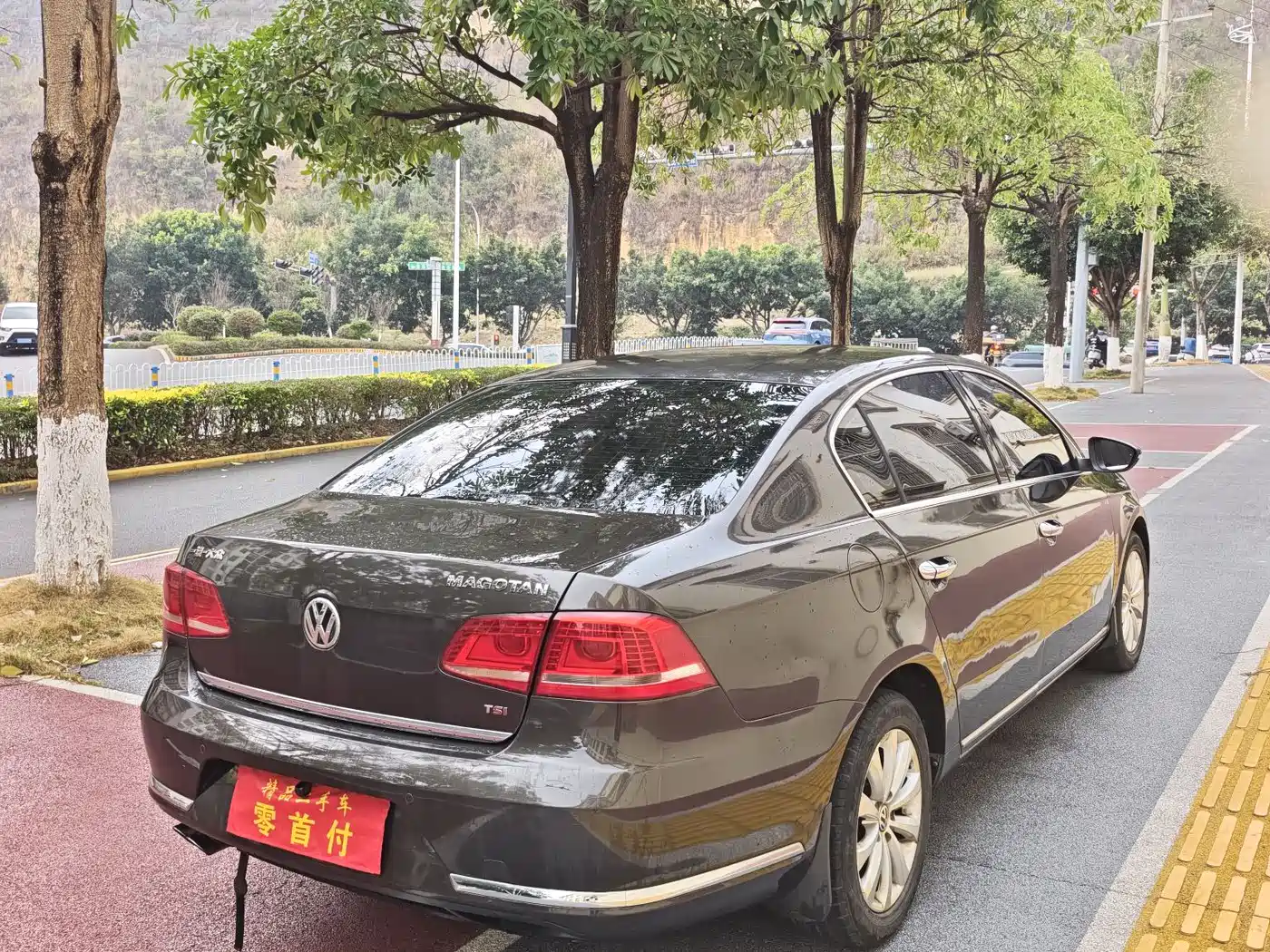 Volkswagen Magotan 2015 1.8TSI Luxury фото 4
