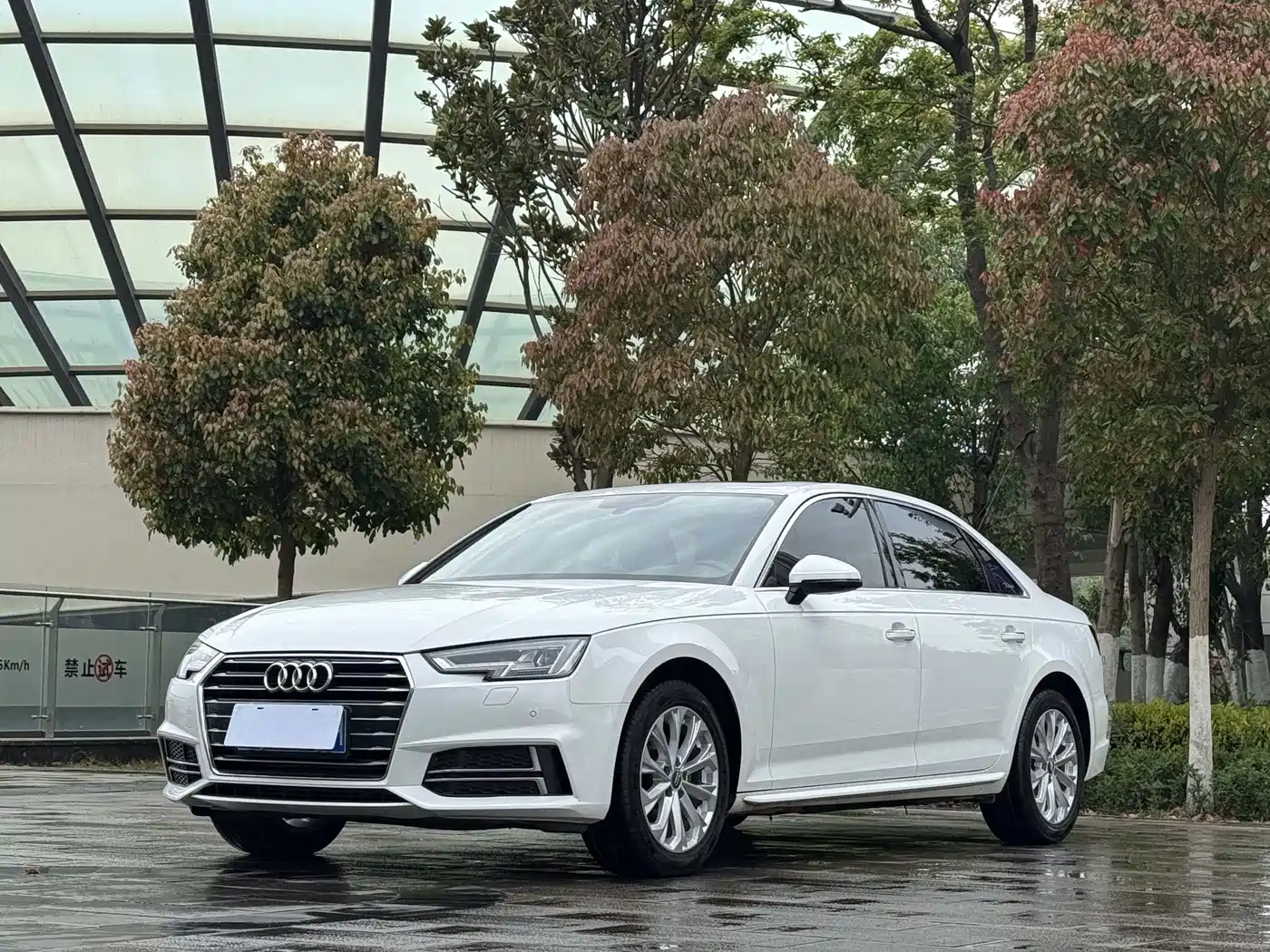 Audi A4L 2019 40 TFSI Progressive (China VI)
