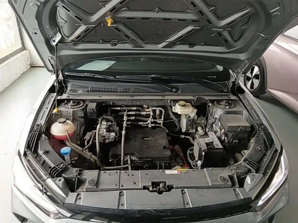 BYD E2