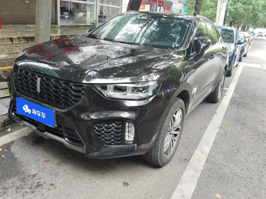 WEY VV5 2019 Upgrade 2.0T 2WD Ultra Luxury China V