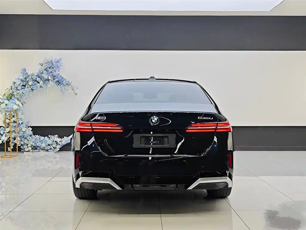 BMW 5 Series 2024 530Li Leading M Sport Package фото 12
