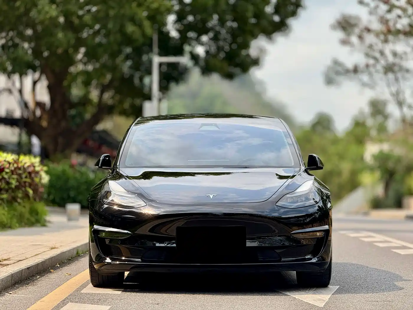 TESLA MODEL 3