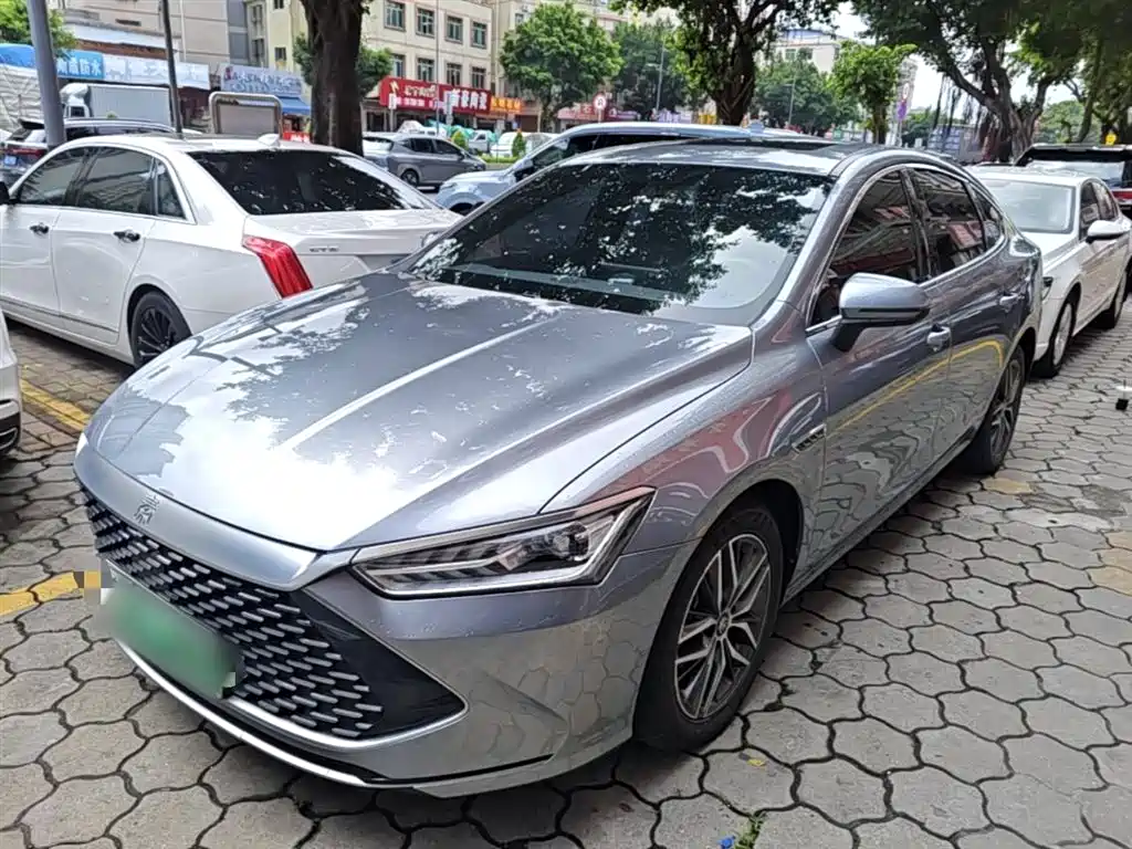 BYD Qin PLUS 2021 DM-i 55KM Flagship фото 2