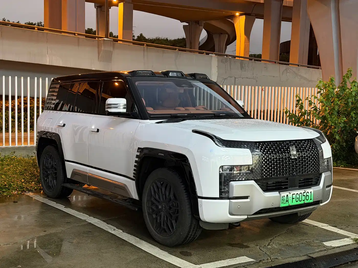 Yangwang U8 2024 2023 Luxury Edition