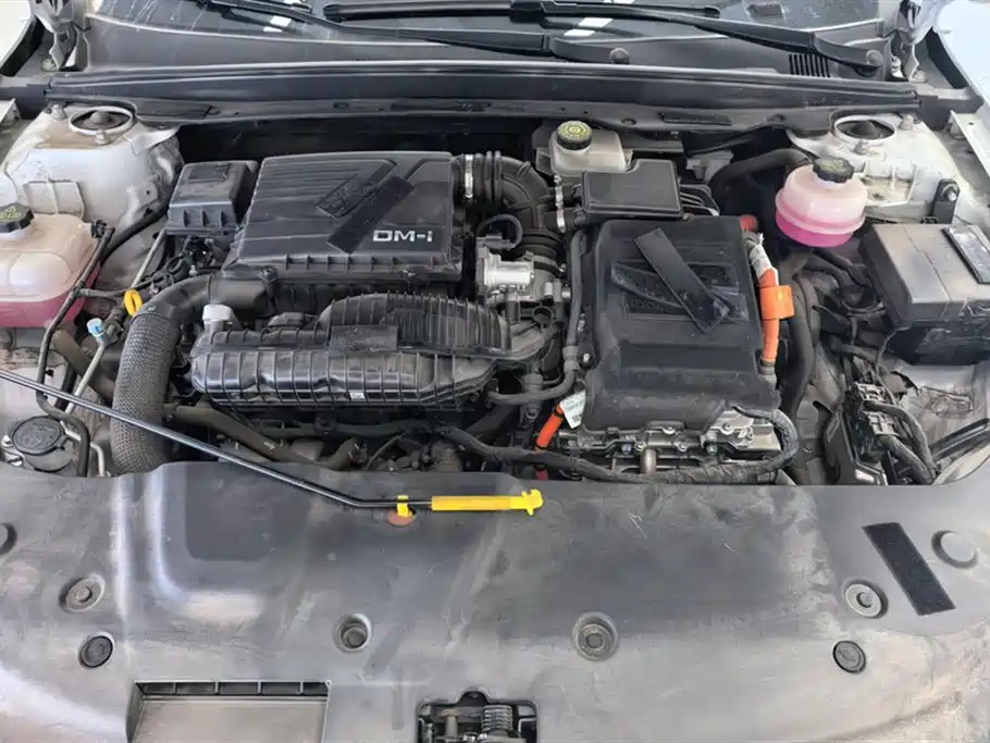 BYD Qin PLUS 2024 Glory Edition DM-i 55KM Leading фото 10