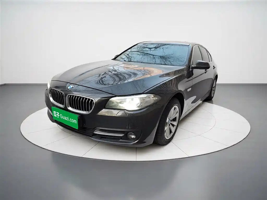 BMW 5 Series 2014 520Li Elegance фото 2
