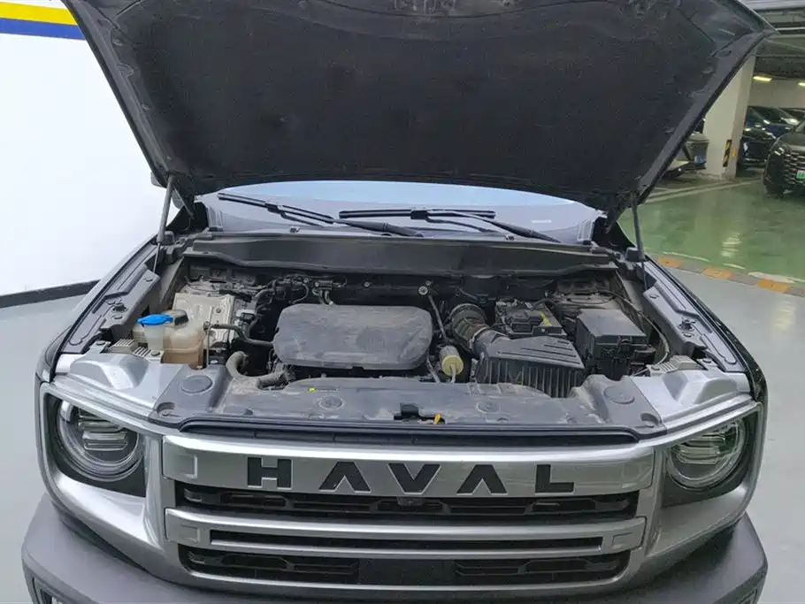 Haval Big Dog 2024 1.5T DCT Border Collie Edition фото 10