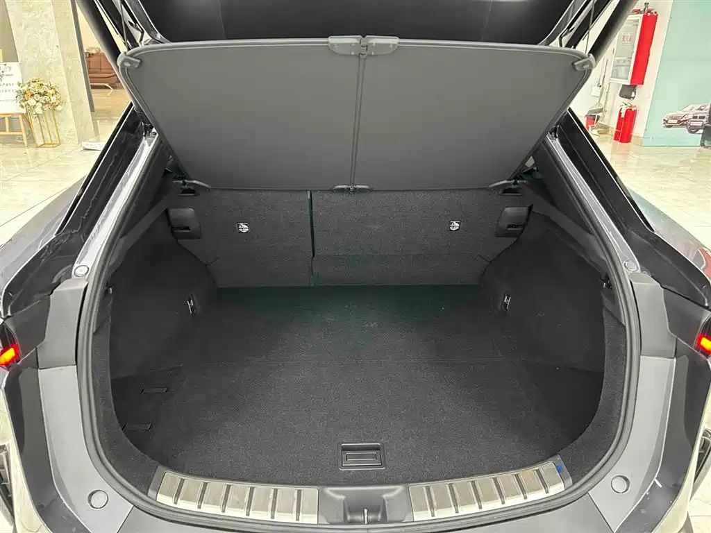 Lexus RZ 2023 450e 4WD Deluxe фото 16