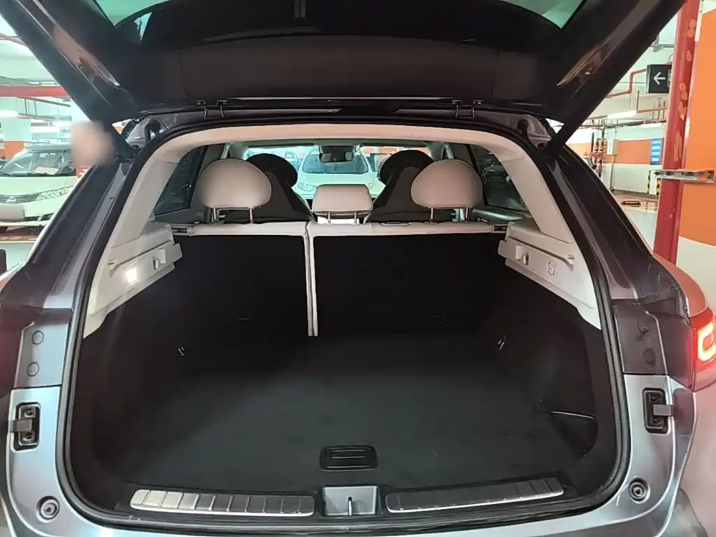 Leapmotor C11 2022 2021 Luxury Edition